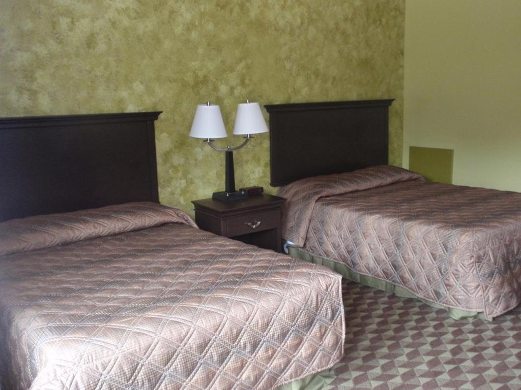Spartan Motel - Rochester Værelse billede